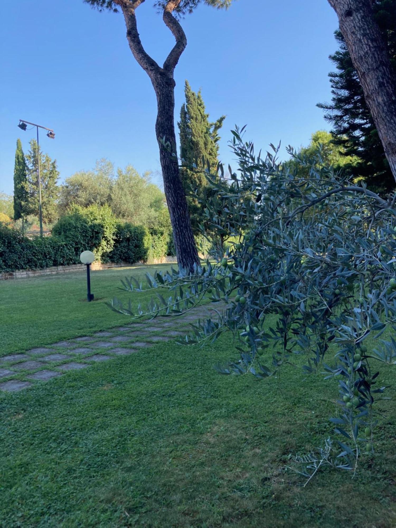 Appartamento Terrace! Roma Esterno foto